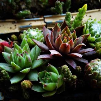 240828311_2612836095678234_2569227114816517617_n